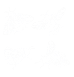 divisão de enxame.png